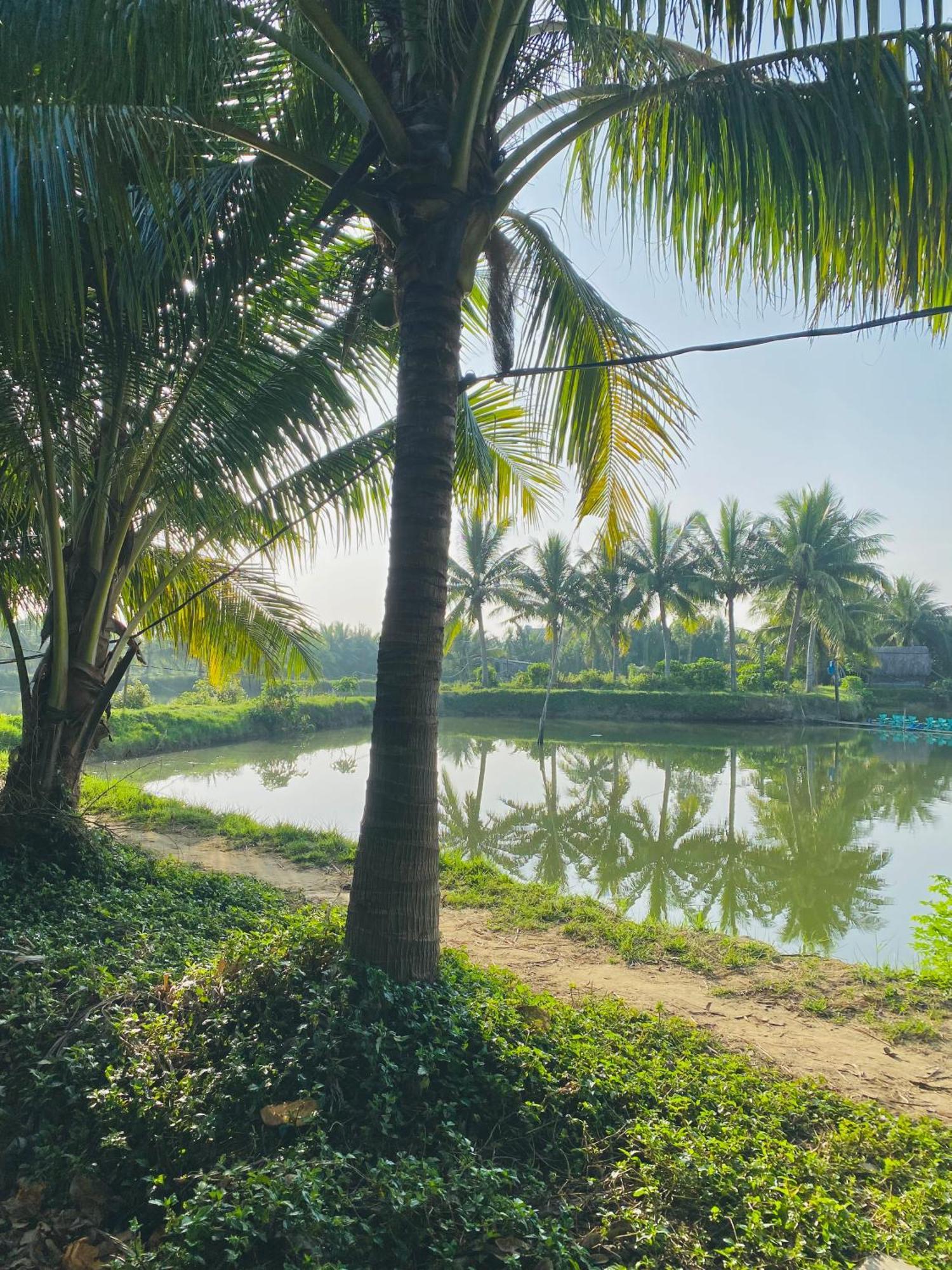 Laoxao Lakeview Homestay Hội An Ngoại thất bức ảnh