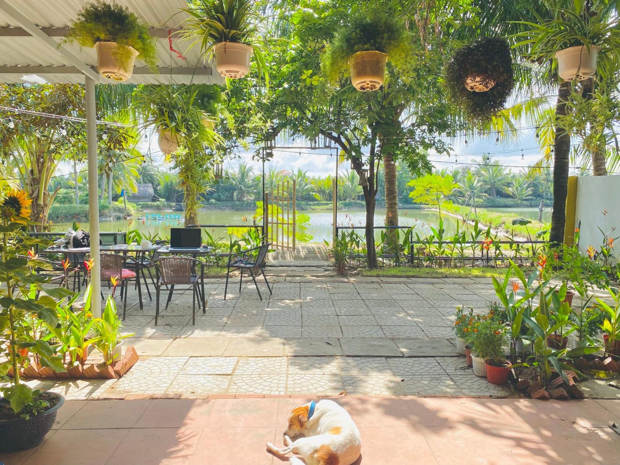 Laoxao Lakeview Homestay Hội An Ngoại thất bức ảnh