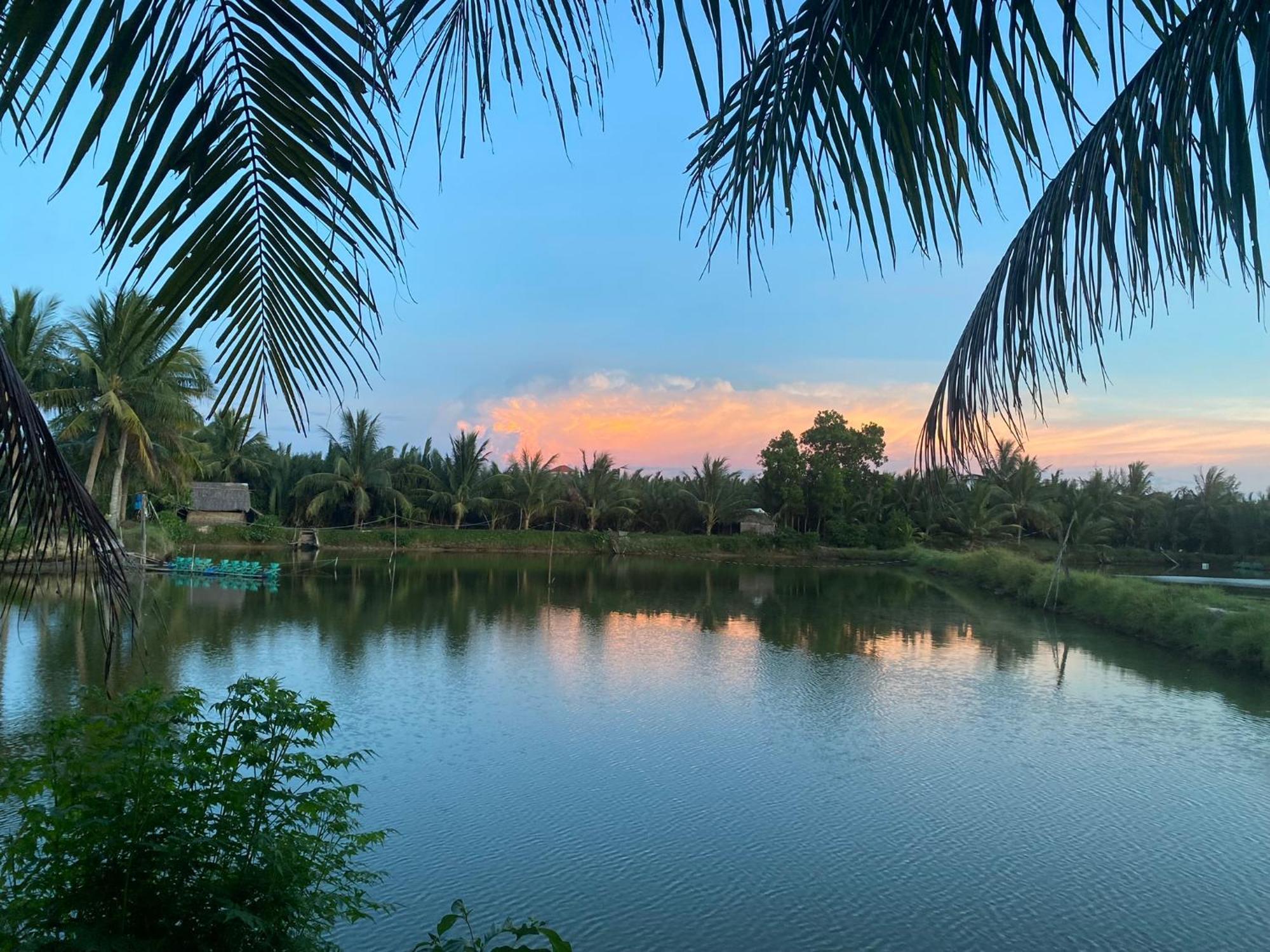 Laoxao Lakeview Homestay Hội An Ngoại thất bức ảnh
